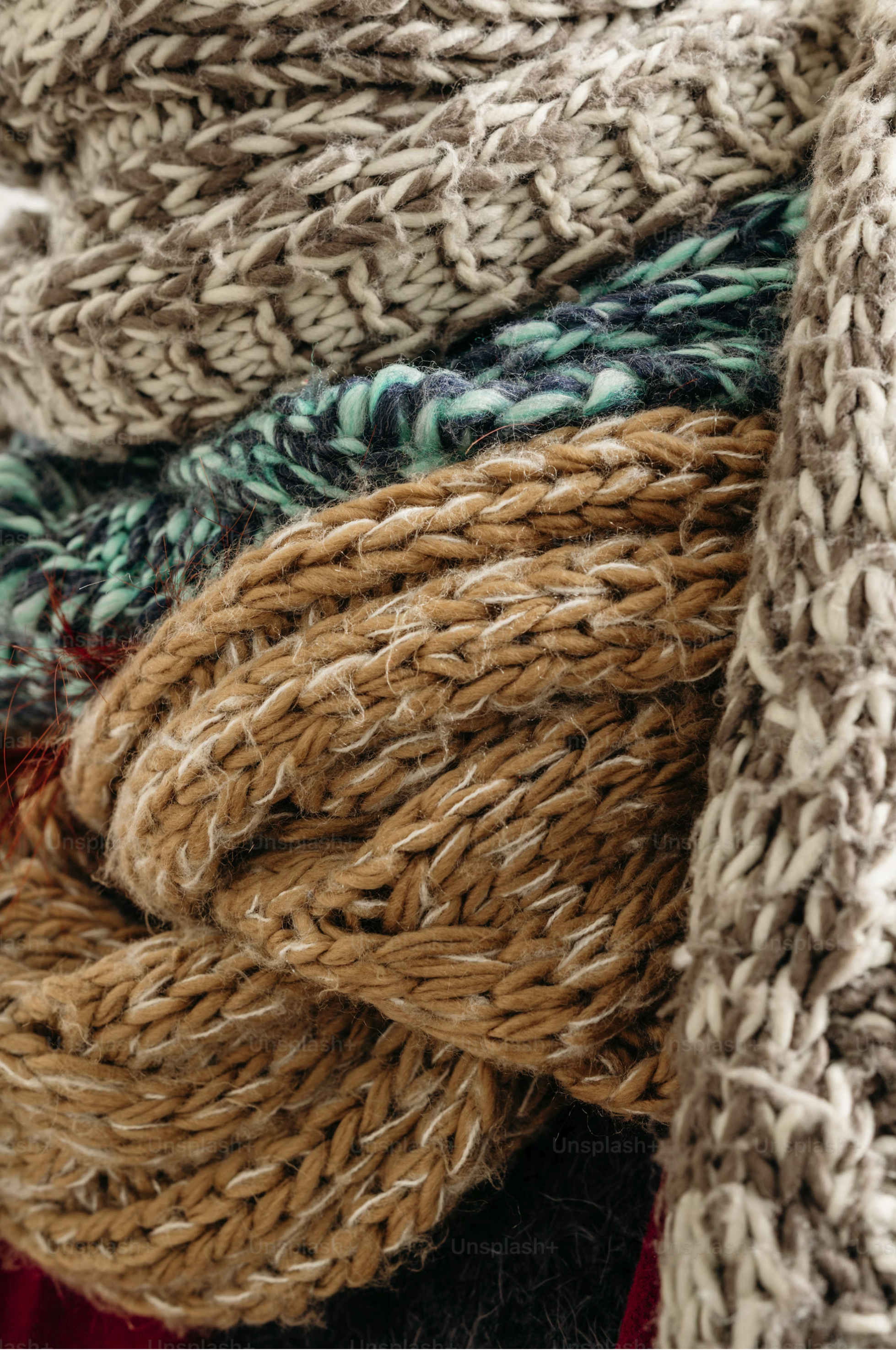 The alpaca herd at Moonview Studio